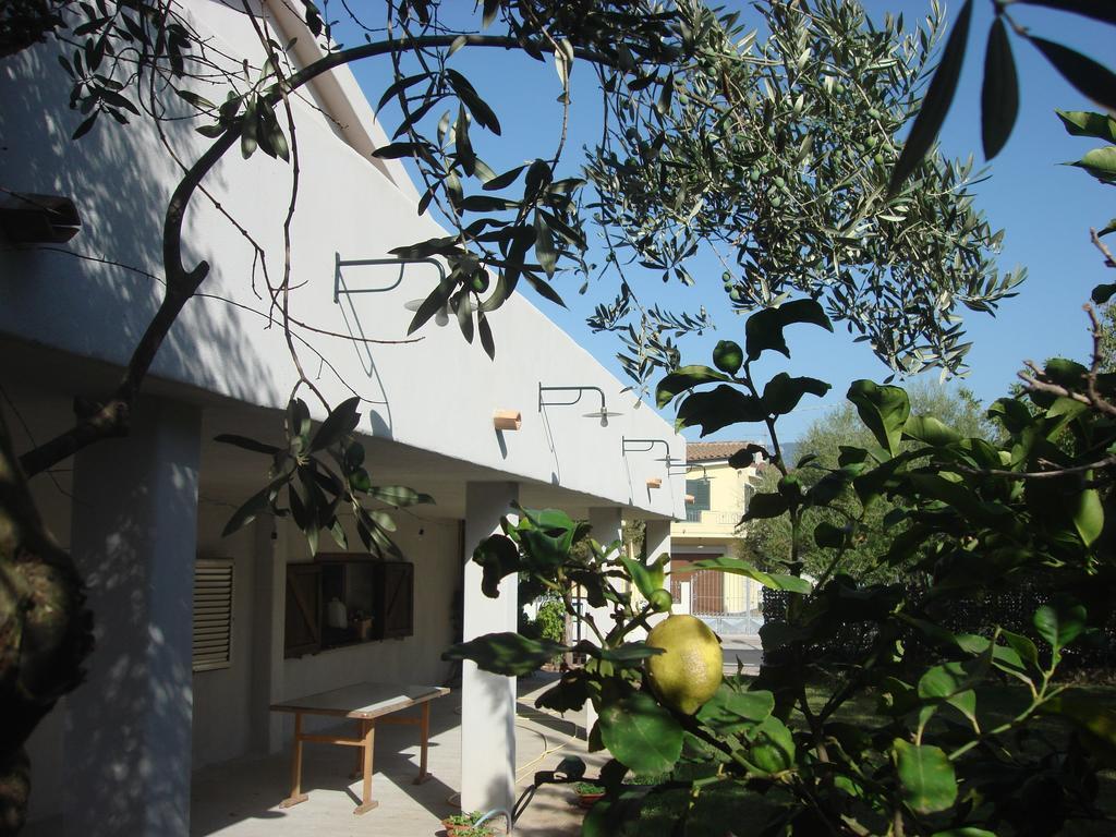 Grazia Deledda Bed & Breakfast กัลเตลลิ ภายนอก รูปภาพ