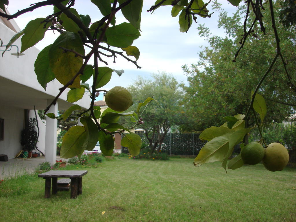 Grazia Deledda Bed & Breakfast กัลเตลลิ ภายนอก รูปภาพ